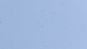 Crece el número de casos de inmigración