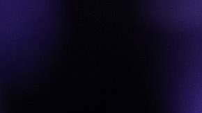 Michael Flynn no da más información a los abogados del presidente.