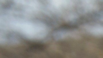 Su lucha se centrará en su organización que ayuda a indocumentados