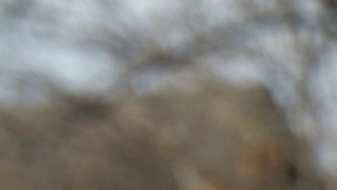 Su lucha se centrará en su organización que ayuda a indocumentados