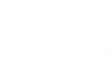 John Kelly reevaluará hasta enero esta medida.