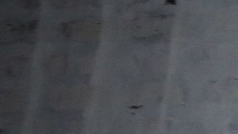 En una operación conjunta se descubrió de lo avanzado que está la red social del grupo terrorista