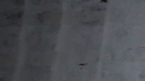 En una operación conjunta se descubrió de lo avanzado que está la red social del grupo terrorista