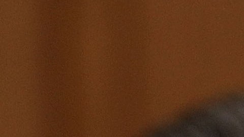 El congresista John Conyers dio a conocer la carta en redes sociales.