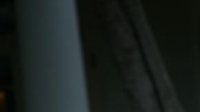 Trump celebra el triunfo de plan de salud en la Cámara.