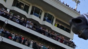 El boricua John Velazquez ganó el Derby de Kentucky