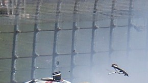 NASCAR
