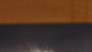 Crece la presión sobre la administración Trump por su vínculos con Rusia