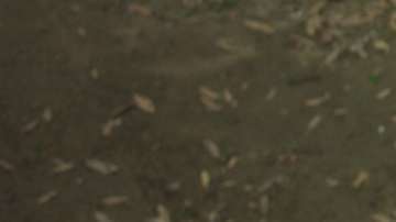 Escena de "Guardians of the Galaxy 2".