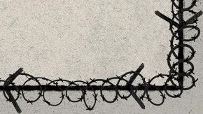 El informe detalla violaciones a derechos humanos en detención de inmigrantes.