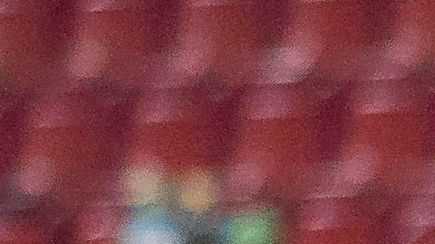 Xolos visita a Morelia en el arranque de su camino en la Liguilla.