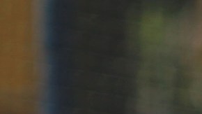 Club América Liga MX