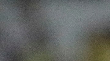 Oribe Peralta