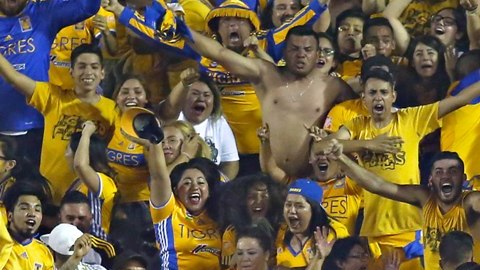 Tigres