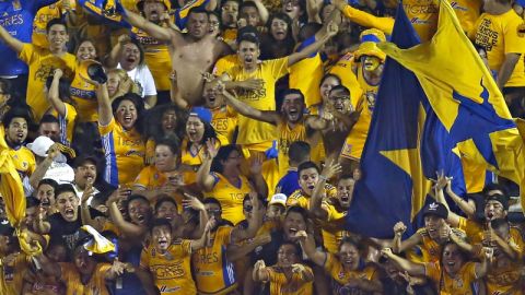 Tigres