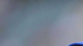 El manager Terry Collins asegura que sus Mets se van a recuperar, pero el panorama actual luce negro.