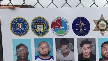 Miembros de la MS-13 arrestados como parte del operativo en Los Angeles. (Aurelia Ventura)