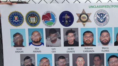 Miembros de la MS-13 arrestados como parte del operativo en Los Angeles. (Aurelia Ventura)