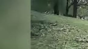 Policía salva a niño autista de ahogarse