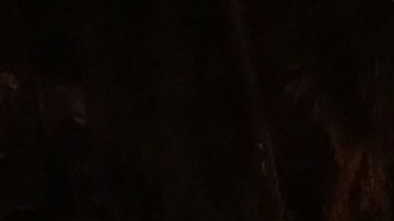 Alexa Chambers (der.), de 18 años, murió tras ser golpeada por un conductor supuestamente ebrio.