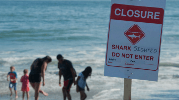 Las autoridades se vieron obligados a cerrar la playa de San Clemente este domingo.