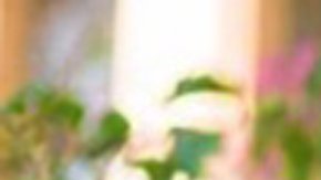 Yadira Álvarez, de 23 años, murió luego que su novio chocó el auto en el que viajaban contra un separador de calle en Paramount.