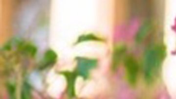 Yadira Álvarez, de 23 años, murió luego que su novio chocó el auto en el que viajaban contra un separador de calle en Paramount.