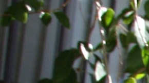 En Los Ángeles, las personas de bajos recursos batallan para conseguir un hogar.