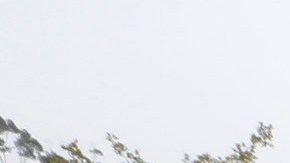 Barrios como Chinatown en Los Ángeles han logrado avances en la lucha contra el cambio climático con el Parque Estatal Histórico de Los Ángeles. (Photo Aurelia Ventura/ La Opinion)