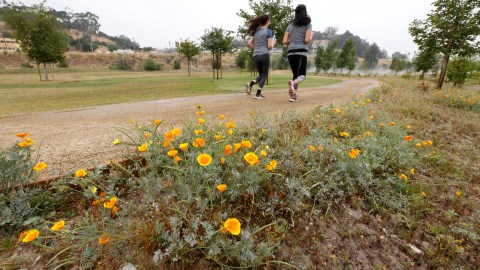 Barrios como Chinatown en Los Ángeles han logrado avances en la lucha contra el cambio climático con el Parque Estatal Histórico de Los Ángeles. (Photo Aurelia Ventura/ La Opinion)
