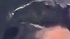 Alejandra Guzmán y Gloria Trevi