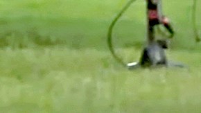 La atleta nugeriana Blessing Okagbare perdió la peluca en un salto