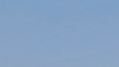 Estos dos proyectos intensifican las presión sobre la comunidad indocumentada