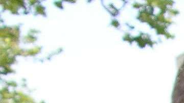 Un arresto, incluso un viejo delito o una multa no pagada, puede tener consecuencias para su caso migratorio, pérdida de residencia o incluso dificultades con su ciudadanía. Foto: EFE.