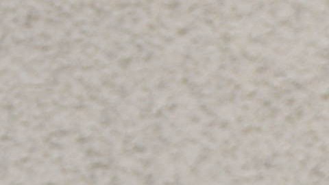 Los Cuates de Sinaloa. Foto: Archivo/La Opinión