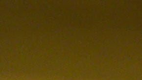 Plantación de marihuana.