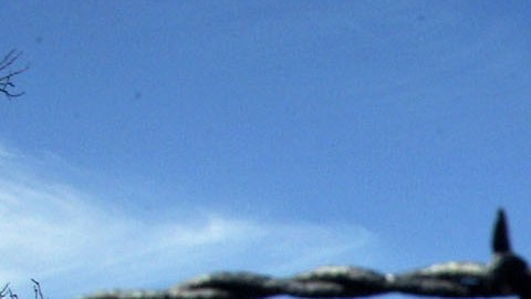 Miembros del “Minutemen Project” vigilan la frontera entre Sonora y Arizona, la cual es dividida por alambre de púas.  Esto ocurrió en 2005.