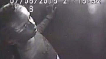 419C967700000578-4626180-image-m-9_1498065830416