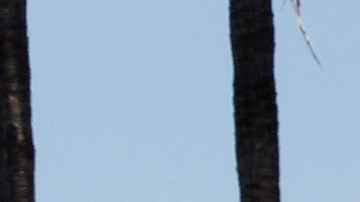 En 2014, los camioneros del puerto de Long Beach realizaron una huelga de 48 horas, en la cual exigieron salarios justos.