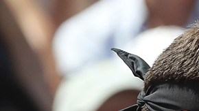 El argentino Juan Martín del Potro consuela al español Nicolás Almagro