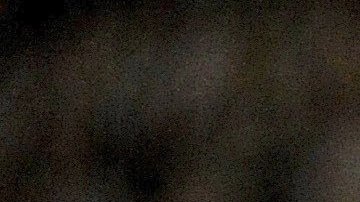 Jugadores de Argentina felicitan a Mercado por el gol.