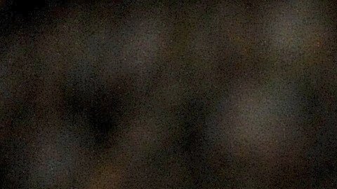 Jugadores de Argentina felicitan a Mercado por el gol.