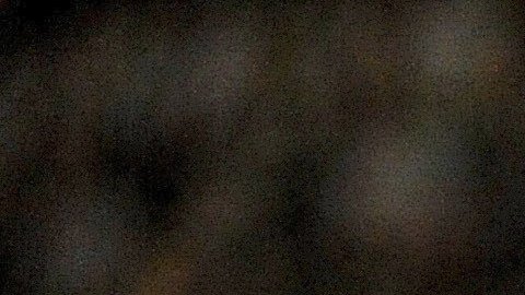 Jugadores de Argentina felicitan a Mercado por el gol.