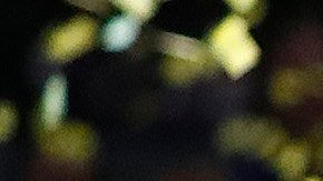 Jugadores de los Warriors celebran su victoria ante los Cavaliers.