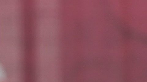 Cristiano Ronaldo entrena con la selección de Portugal