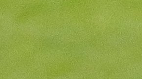 Juan Carlos Osorio afina los últimos detalles con el Tri para enfrentyar a Rusia