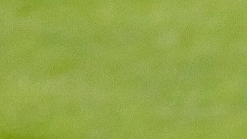 Juan Carlos Osorio afina los últimos detalles con el Tri para enfrentyar a Rusia
