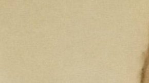 La mujer fue arrestada y se encuentra bajo custodia