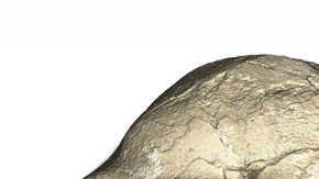 Los restos en Jebel Irhoud tienen las características similares a las de los ancestros del ser humano.