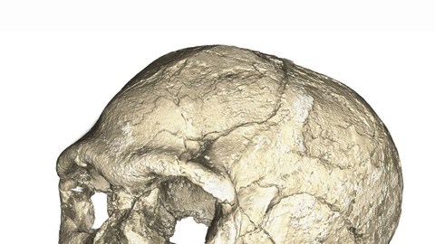 Los restos en Jebel Irhoud tienen las características similares a las de los ancestros del ser humano.